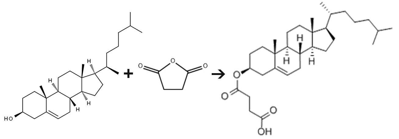 Cholesteryl hemisuccinate
